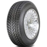 Landsail Winter Lander 195/45 R16 84H