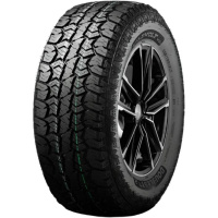 DoubleStar W01 225/60 R17 99T