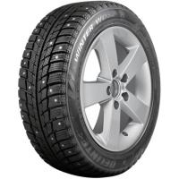 Delinte Winter WD52 195/55 R16 91T