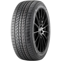 DoubleStar DW02 195/60 R15 88T