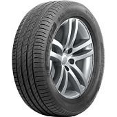 Delinte DS2 255/50 R20 109Y