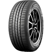 Ecowing ES31