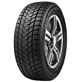 Delinte Winter WD1 225/45 R17 94V
