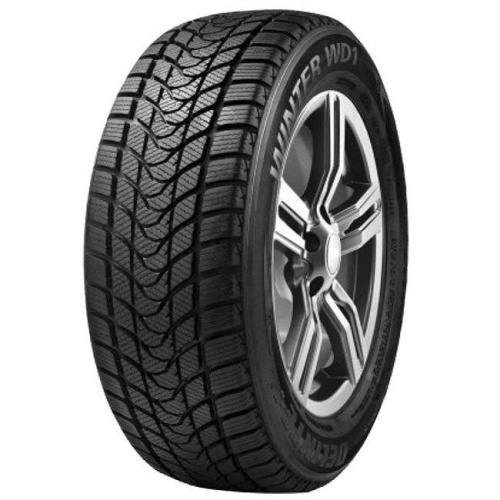 Delinte Winter WD1 225/55 R17 97T